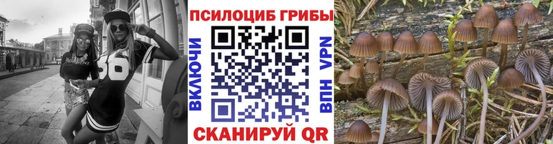 Псилоцибиновые грибы прущие грибы Короча